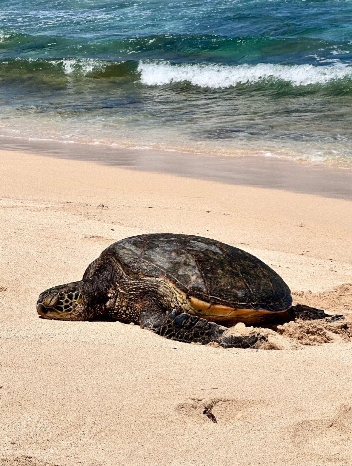 Charlotte Aasbie travel