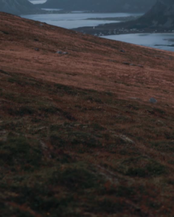 Charlotte Aasbie video